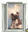 Dog charm - Chinese Crested Dog 3 - Click Image to Close